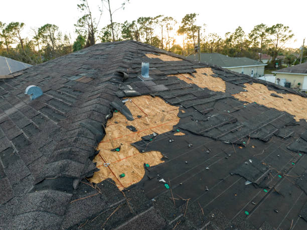 Best Roof Insulation Installation  in Monongah, WV